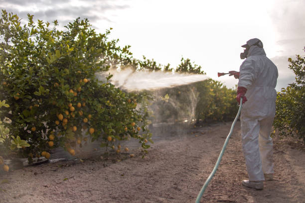 Pest Control for Restaurants in St Marys, GA